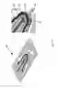Fig. 13 - Engineering of a novel breast tumor microenvironment on a microfluidic chip