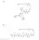 Fig. 03 - MACROMOLECULAR CONJUGATES FOR VISUALIZATION AND SEPARATION OF PROTEINS AND CELLS