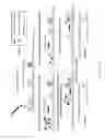 Fig. 02 - Catalytic particles for increased sensitivity in lateral flow immunoassays
