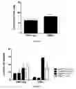 Fig. 06 - Methods for diagnosing hematological cancers