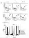 Fig. 11 - Methods for diagnosing hematological cancers
