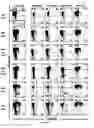 Fig. 15 - Methods for diagnosing hematological cancers