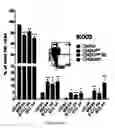 Fig. 16 - Methods for diagnosing hematological cancers