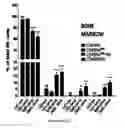 Fig. 17 - Methods for diagnosing hematological cancers
