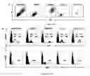 Fig. 18 - Methods for diagnosing hematological cancers