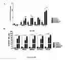 Fig. 20 - Methods for diagnosing hematological cancers