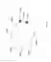 Fig. 16 - Using a two-dimensional scanner to speed registration of three-dimensional scan data