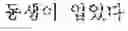 Fig. 22 - Machine translation method and apparatus