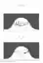 Fig. 10 - Electronic device and method for producing video content by using the same