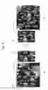 Fig. 07 - MOVING OBJECT GROUP DETECTION DEVICE AND MOVING OBJECT GROUP DETECTION METHOD