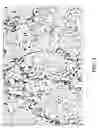 Fig. 04 - Surface metallographic method for characterizing the degree of sensitization of aluminum-magnesium alloys