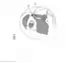 Fig. 04 - Method for displaying an object