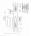 Fig. 04 - INFORMATION PROCESSING METHOD AND SYSTEM FOR EXECUTING THE SAME