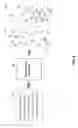 Fig. 06 - System and method for procedurally generated object distribution in regions of a three-dimensional virtual environment