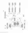 Fig. 02 - FUEL DISPENSING ENVIRONMENT UTILIZING IMPROVED WIRELESS NETWORK TOPOLOGY