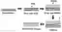 Fig. 01 - Moisture responsive materials, methods of making and methods of use