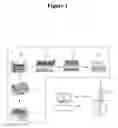 Fig. 02 - Categorization data manipulation using a matrix-assisted laser desorption/ionization time-of-flight mass spectrometer