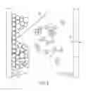 Fig. 09 - Time versus intensity distribution analysis using a matrix-assisted laser desorption/ionization time-of-flight mass spectrometer