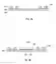 Fig. 04 - Semiconductor device package and a method of manufacturing the same