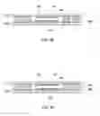 Fig. 06 - Semiconductor device package and a method of manufacturing the same