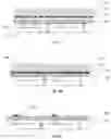 Fig. 06 - Transferring method, manufacturing method, device and electronic apparatus of micro-LED