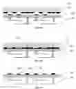 Fig. 08 - Transferring method, manufacturing method, device and electronic apparatus of micro-LED