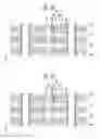 Fig. 09 - Manufacturing method of semiconductor device
