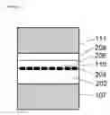 Fig. 06 - Vertical-cavity surface-emitting laser