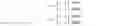 Fig. 02 - Content centric cross-layer scheduling for industrial applications