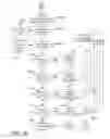 Fig. 17 - Information retrieval and display for an IVR system