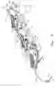Fig. 07 - Agricultural implement with pivotable shanks