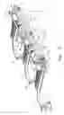 Fig. 08 - Agricultural implement with pivotable shanks