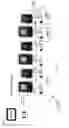 Fig. 21 - Wireless control system for floating row cleaner