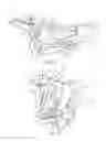 Fig. 03 - Corn harvester with tall corn attachment and associated methods