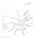 Fig. 01 - Insect-free pet feeder system