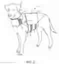 Fig. 03 - SOOTHING GARMENT FOR PETS