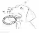 Fig. 01 - Animal dental care device and method