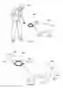 Fig. 06 - Animal dental care device and method