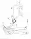 Fig. 07 - Animal dental care device and method
