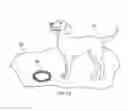 Fig. 08 - Animal dental care device and method