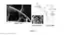 Fig. 02 - ODORS FOR PSYLLID TRAPPING, REPELLING AND CONTROL