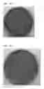 Fig. 06 - Manufacturing Method for Powdered Fermented Paste