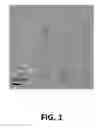 Fig. 02 - Process for forming a solution containing gold nanoclusters binding with ligands