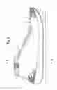 Fig. 02 - Article of footwear having an upper that includes a knitted component with a cushioning region and methods for fabricating the same