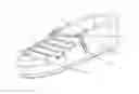 Fig. 01 - Elastic shoelace with a ring