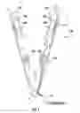 Fig. 02 - PALM ROLLER FOR DREADLOCK FORMATION