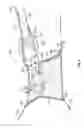 Fig. 08 - Hammock
