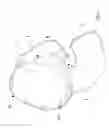 Fig. 02 - Cushions