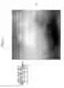 Fig. 09 - IMAGE PROCESSING APPARATUS AND ENDOSCOPE APPARATUS
