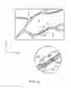 Fig. 08 - Biological information acquisition device and biological information acquisition method